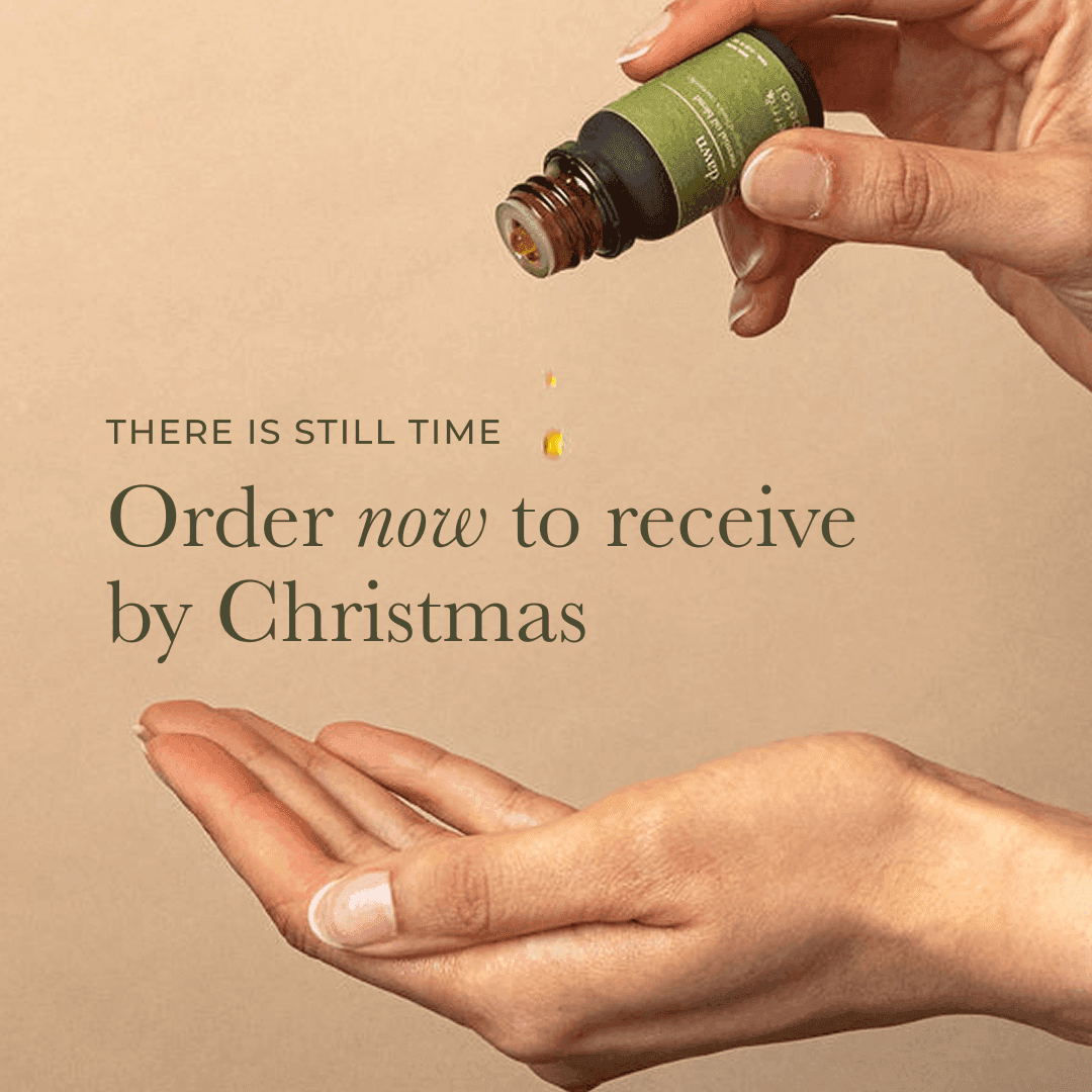 The Sale Continues: up to 40% off site-wide