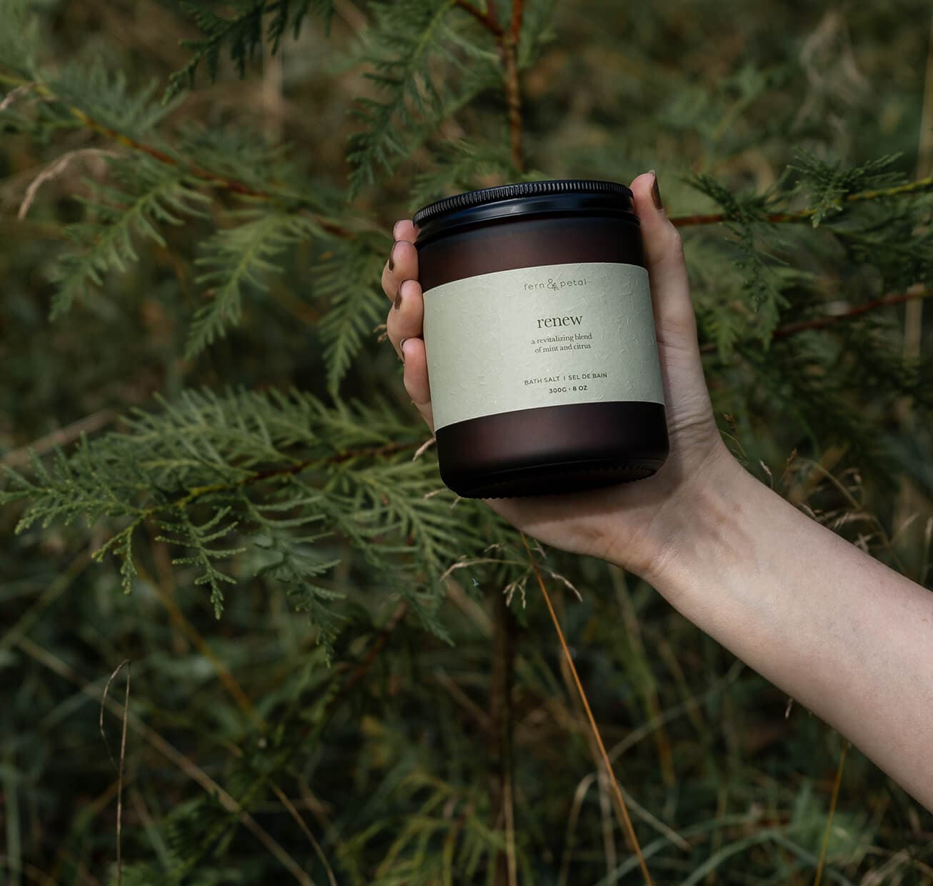 A jar of renew help up against a tree brach